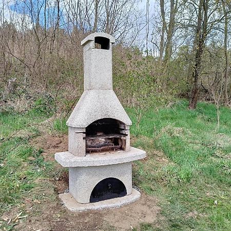 Wellness bungalov - vodní nádrž Slapy - 40km od Prahy Necin Exteriér fotografie