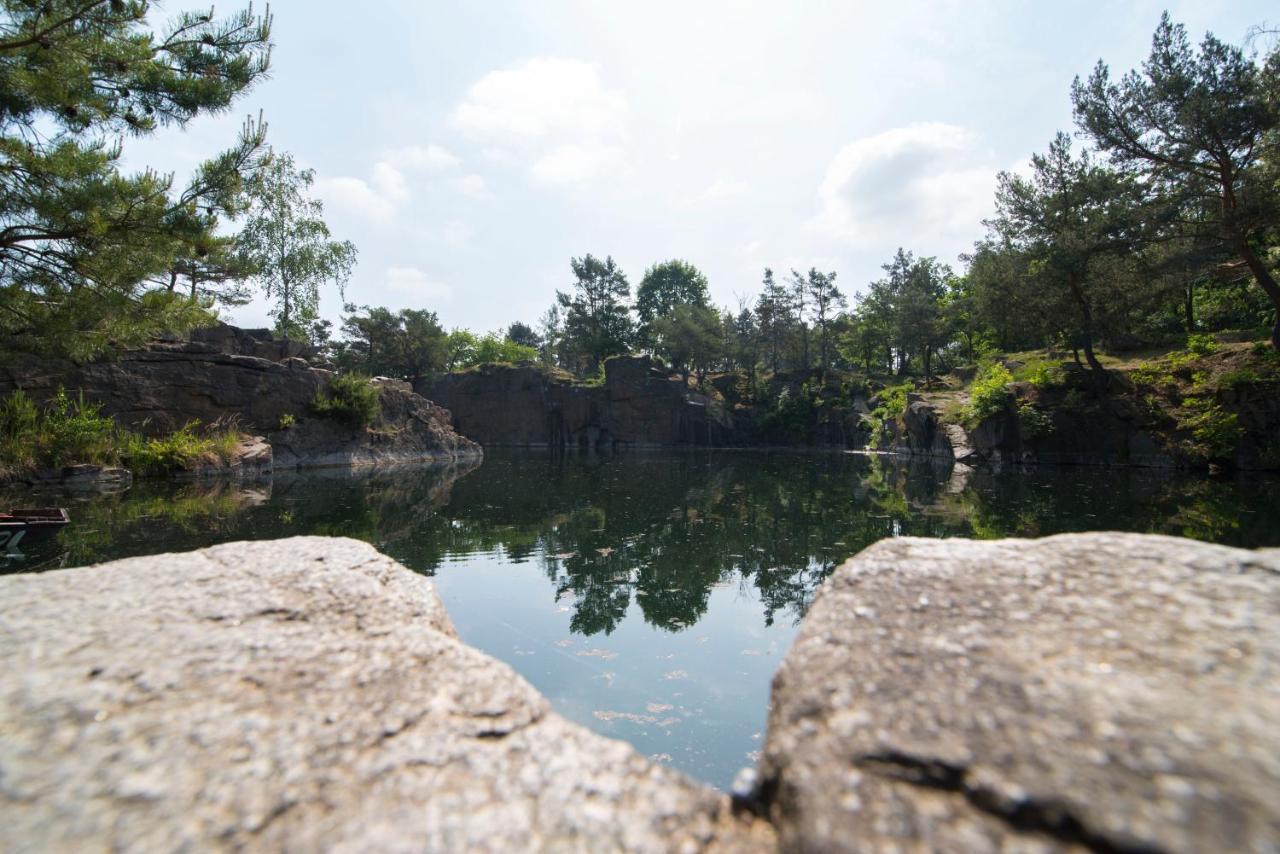Wellness bungalov - vodní nádrž Slapy - 40km od Prahy Necin Exteriér fotografie
