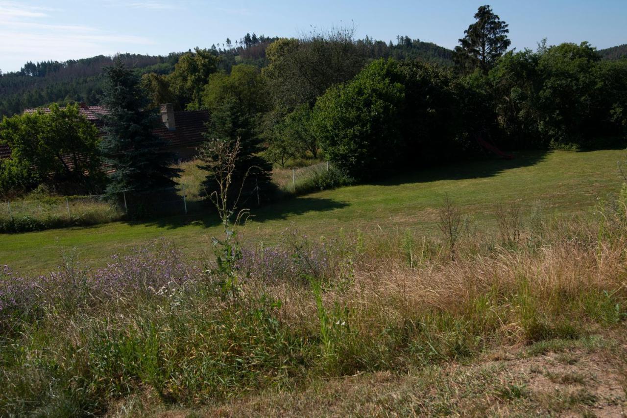 Wellness bungalov - vodní nádrž Slapy - 40km od Prahy Necin Exteriér fotografie