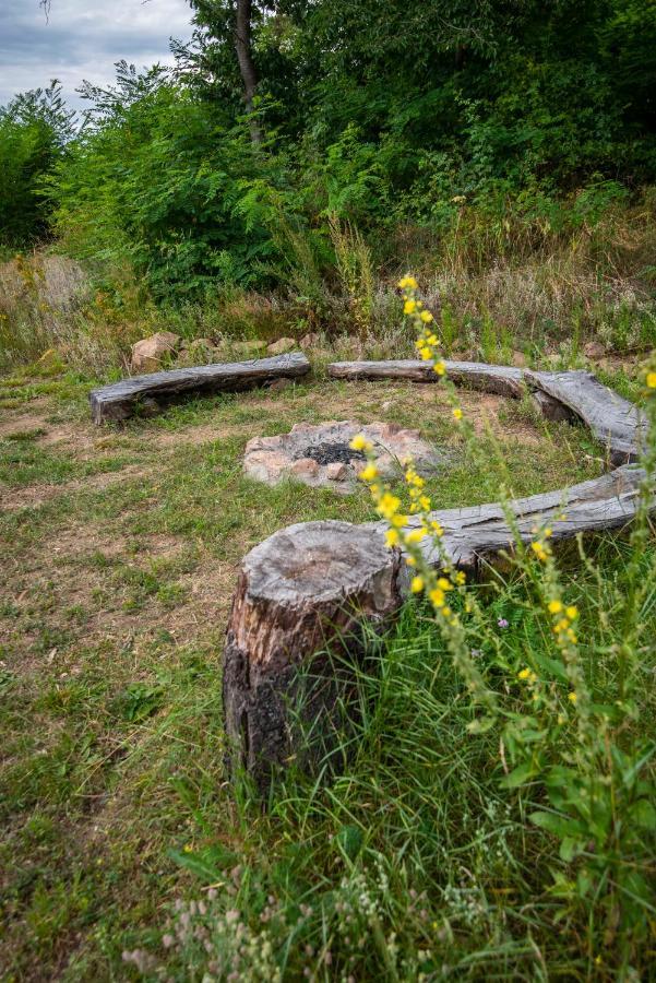 Wellness bungalov - vodní nádrž Slapy - 40km od Prahy Necin Exteriér fotografie