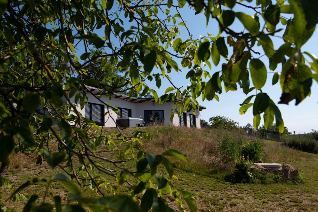 Wellness bungalov - vodní nádrž Slapy - 40km od Prahy Necin Exteriér fotografie